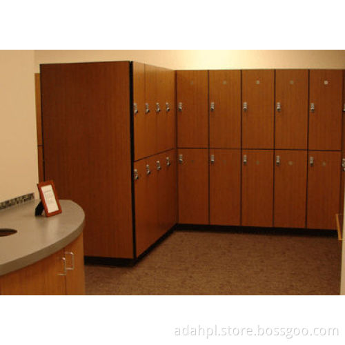 Modern simple life assembled electronic personal storage locker
